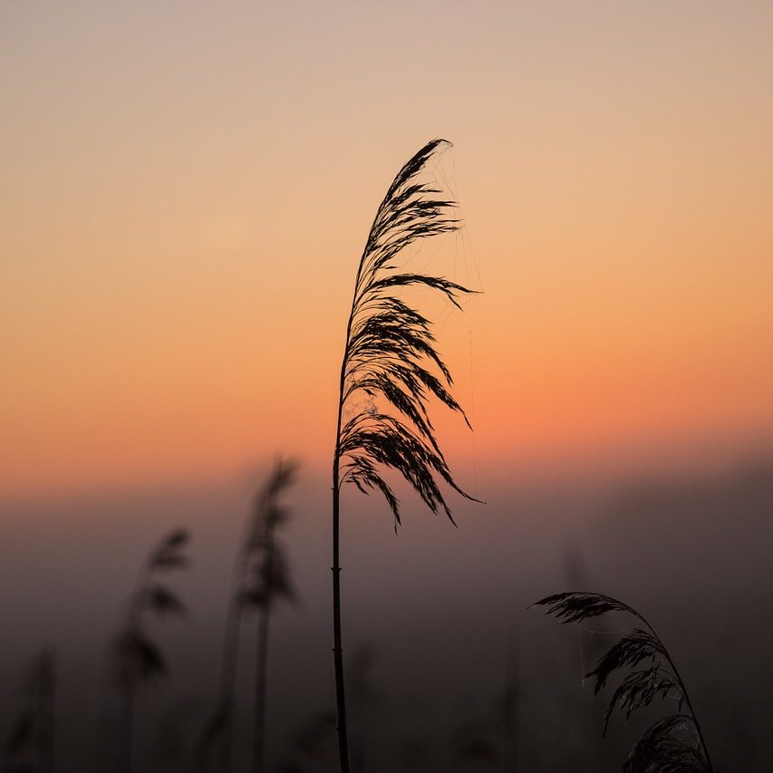 potilaan_oikeudet_hannasykko_blogi2