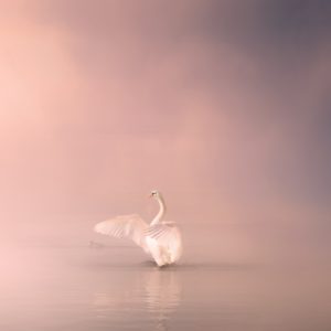 Potilaan kohtaaminen ja eettiset kysymykset